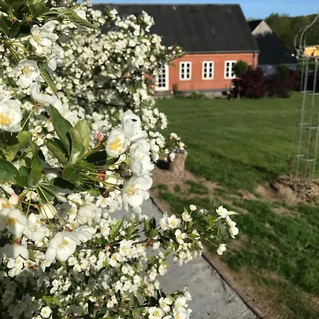 Brørup Kjærsgaard, Hygge, Ro, Og Landliv
