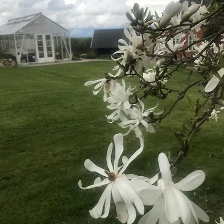 Bed & Breakfast Brørup Kjærsgaard, Hygge, Ro, Og Landliv Skanderborg